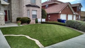 Should I Aerate My Lawn In Late Winter?