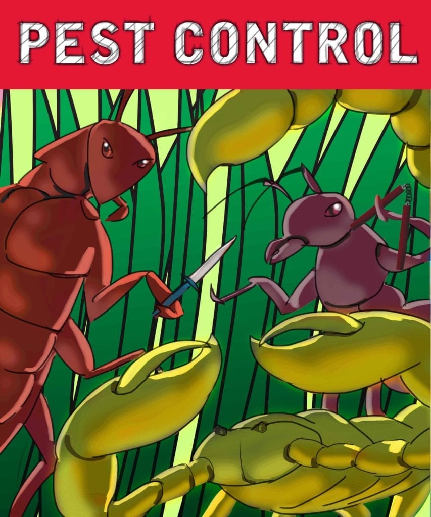 Pest Control in Moriarty, NM