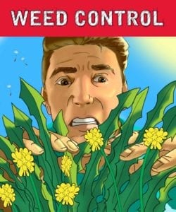 Remove Weeds without Damaging My Plants