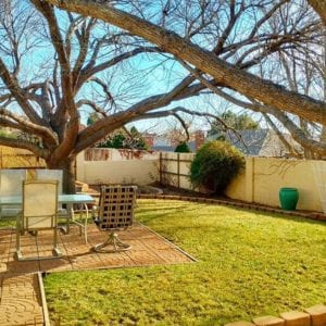 Lawn Fungus Or Grubs: How Can I Tell The Difference?