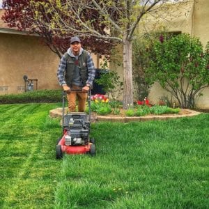 Lawn Care Company Albuquerque NM