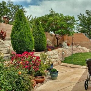 Pest Control Services in Carnuel, NM