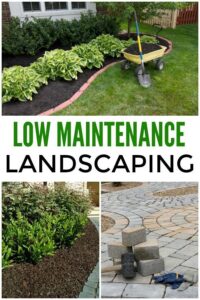 low-maintenance-landscaping
