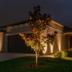 Landscape Lighting