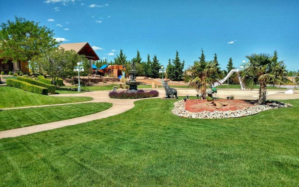 Lawn Care in Los Ranchos, NM