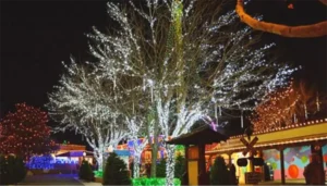 Trees wrapped with white holiday lights in a festive outdoor commercial setting at night