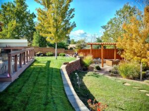 How Do You Prevent Grub Infestations in Albuquerque Lawns?