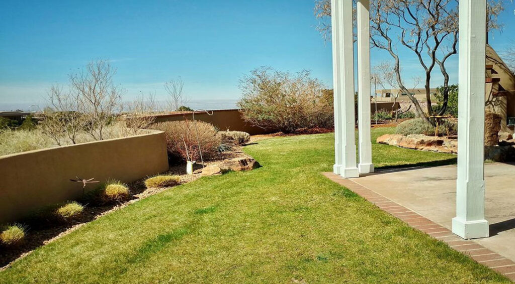 What Does a Lawn Infested With Grubs Look Like?