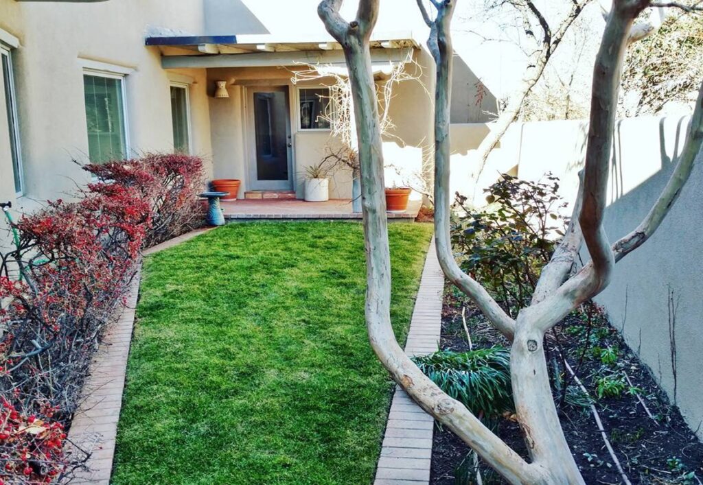 Yard Maintenance: How Often Should You Maintain Your Yard?