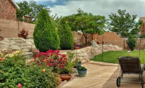 Landscaped residential yard supported by sprinkler and drip irrigation systems in Albuquerque