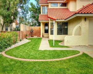 What Are The Benefits of Cleaning Your Yard?