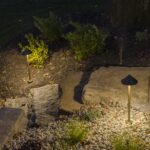 Landscape Lighting