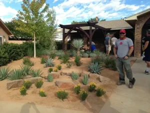 Completed xeriscape landscaping project in Albuquerque, NM, featuring drought-tolerant plants and a shaded pergola.